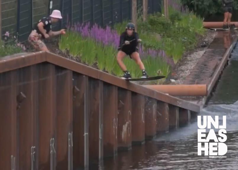 Sewer Cats-unleashedwakemag